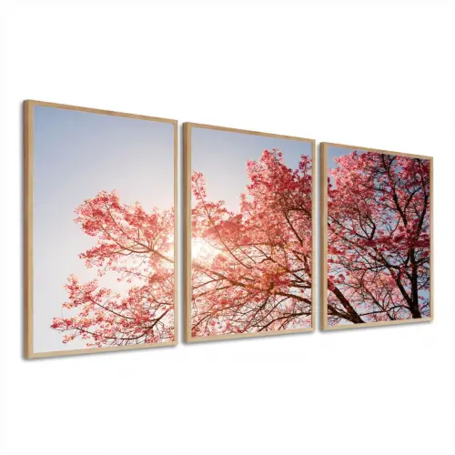 kit 3 quadro decorativo flores de cerejeira galhos de cerejeira d