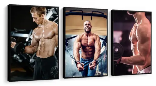 kit 3 quadro decorativo academia exercicio físico treino homens 