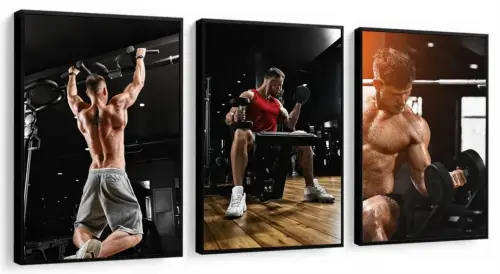 kit 3 quadro decorativo academia exercicio físico treino homens 