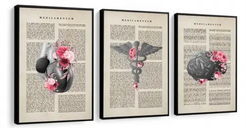 kit 3 quadro decorativo cunsultório de medicina anatomia humana 