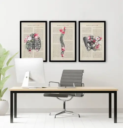 kit 3 quadro decorativo cunsultório de medicina anatomia humana ortopedia ortopedista médicos decor quarto sala com molduras