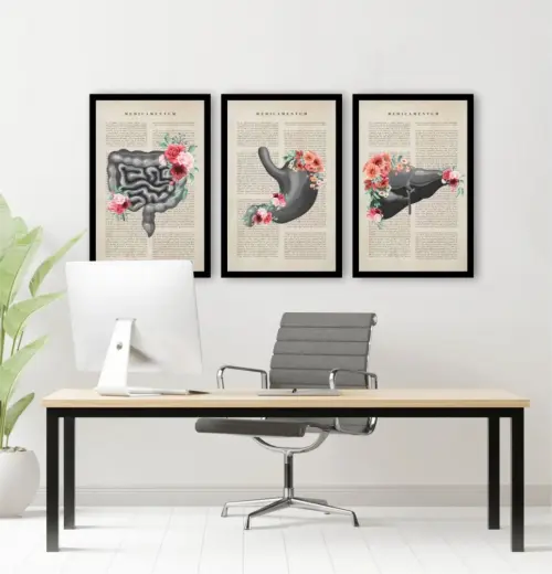 kit 3 quadro decorativo cunsultório de medicina anatomia humana médicos decor quarto sala com molduras