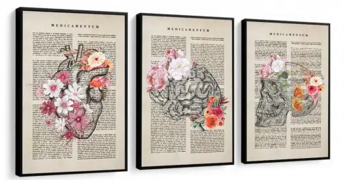 kit 3 quadro decorativo cunsultório de medicina anatomia humana 
