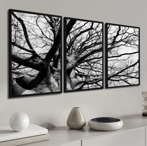kit 3 quadro decorativo galhos preto e branco árvore gold luxo sala quarto decor pousada casa com molduras
