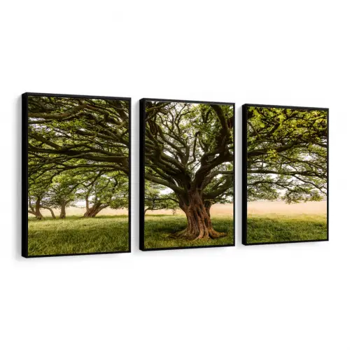 kit 3 quadro decorativo árvores verde campo natureza campo síti