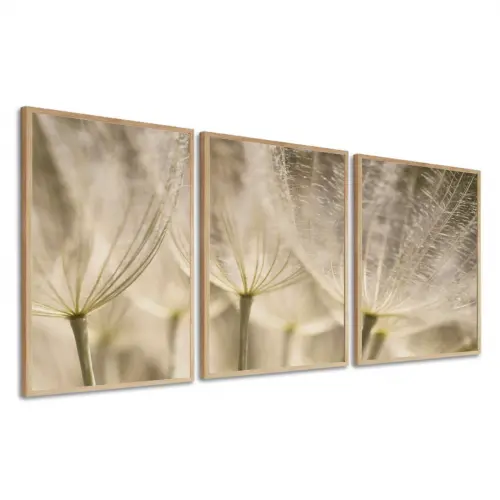 kit 3 quadro decorativo flor dente de leão sala quarto decor pou