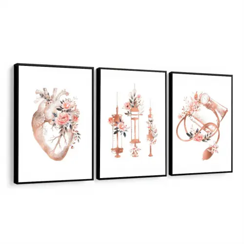 kit 3 quadro decorativo anatomia humana flores medicina médicos decor quarto sala com molduras