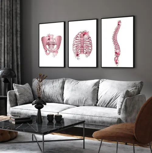 kit 3 quadro decorativo anatomia humana flores medicina médicos decor quarto sala com molduras