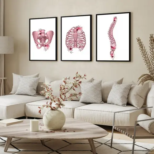 kit 3 quadro decorativo anatomia humana flores medicina médicos 
