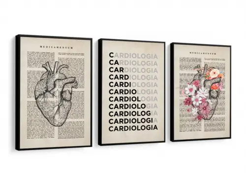 kit 3 quadro decorativo cardiologista cunsultório de medicina an