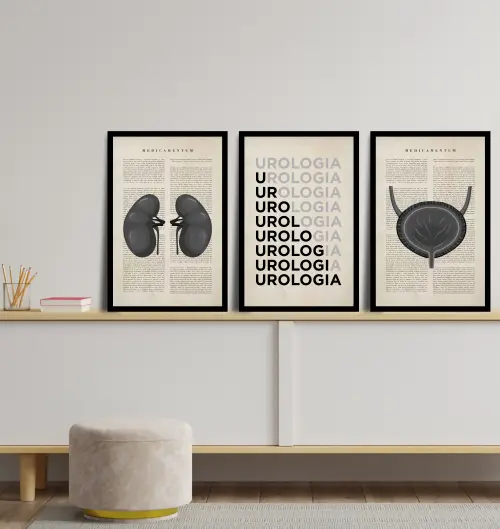 kit 3 quadro decorativo urologia  cunsultório de medicina anatom