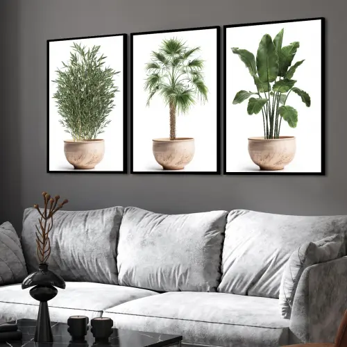 kit 3 quadro decorativo galhos de bambu vasos de folhas verdes Bananeira Ornamental folhagem Washingtonia com molduras