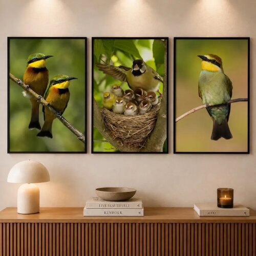 kit 3 Quadro Família De Passarinhos Aves Exóticas Abelharucos Sala com molduras