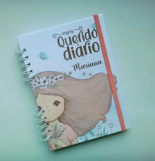 Meu Diário