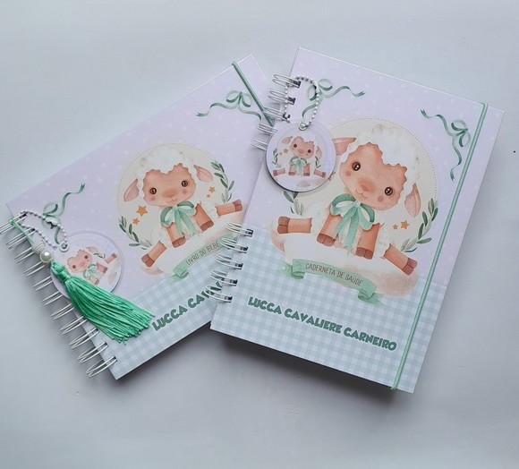 Kit Livro do Bebê A5 + Caderneta de Saúde(vacinas)