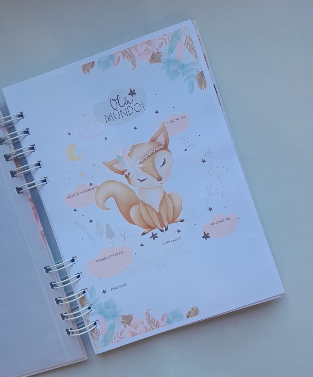 Kit Livro do Bebê Grande+ Caderneta de Saúde+ Mini Porta Docs