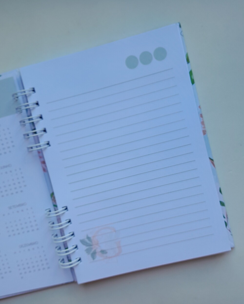 Caderno A5 Pautado 100 Folhas Personalizado - Escolha Capa