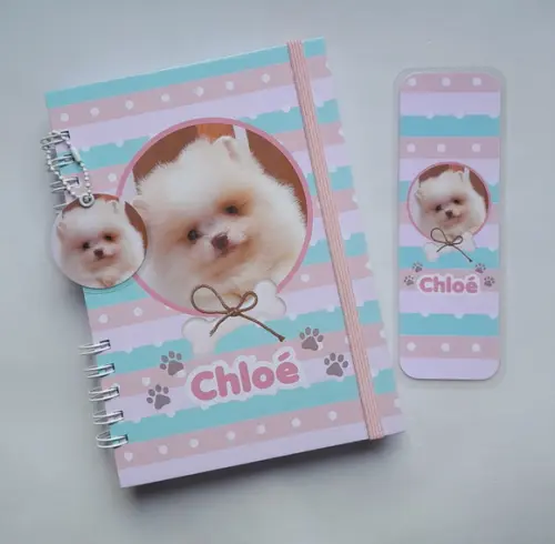 Caderneta de Vacinas Pet - Escolha a estampa