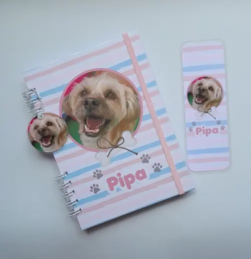 Caderneta de Vacinas Pet - Escolha a estampa