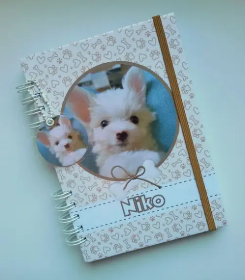 Caderneta Pet Cachorro Personalizada