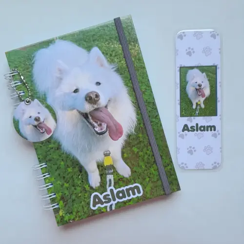 Caderneta de Vacinas Pet - Escolha a estampa