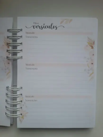 Diário Devocional + Acess - Modelo 01 (p/ os 365 Dias Ano)