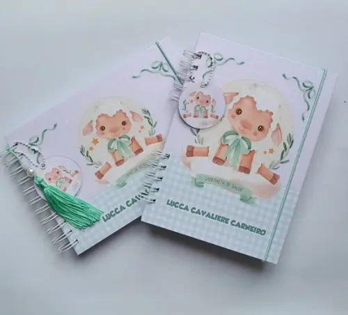 Kit Livro do Bebê A5 + Caderneta de Saúde(vacinas)