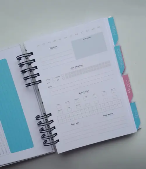 Planner Fitness Feminino + Divisórias