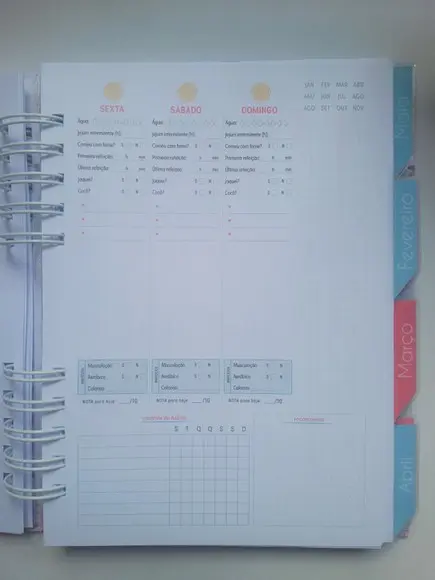 Planner Fitness Feminino + Divisórias