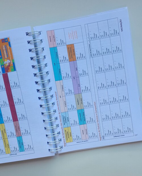 Caderneta de Saúde Vacinas Personalizada - Escolha a Capa