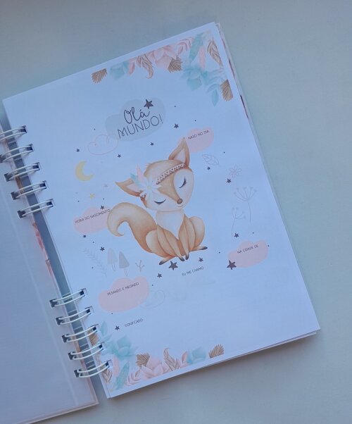 Kit Livro do Bebê Grande+ Caderneta de Saúde+ Mini Porta Docs