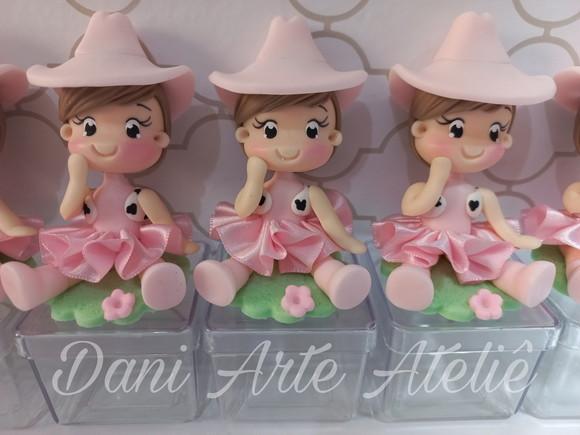 Caixinhas Fazendeira Rosa