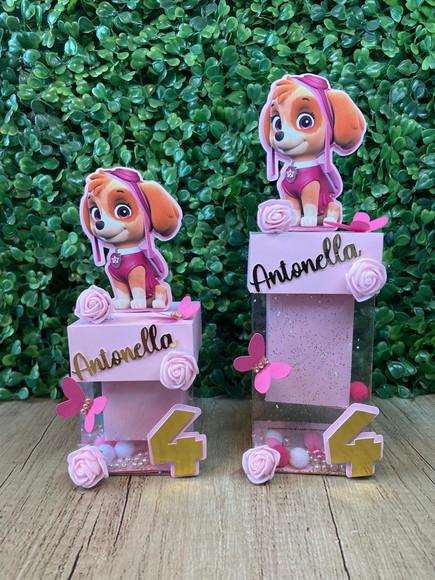 Kit Caixa Acetato Luxo Skye (20 Peças)