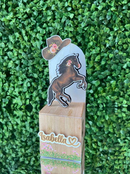 Kit Personalizado Boiadeira (20 Peças)