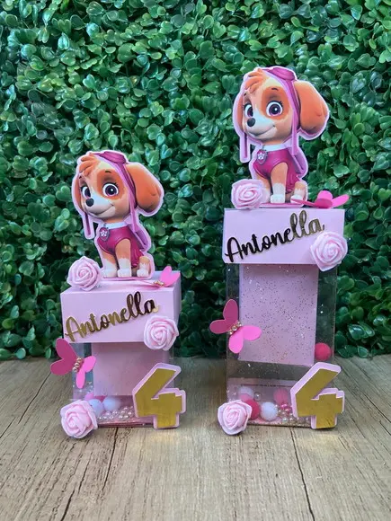 Kit Caixa Acetato Luxo Skye (20 Peças)