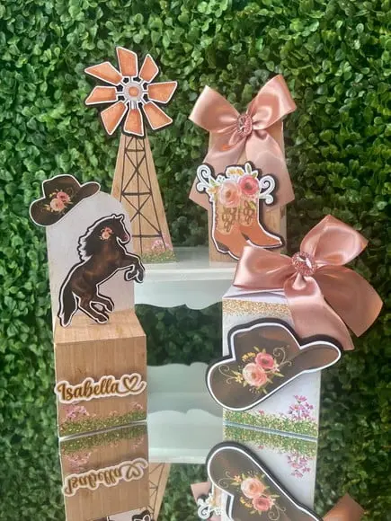 Kit Personalizado Boiadeira (20 Peças)