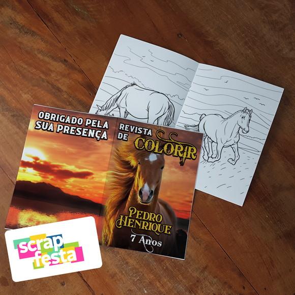 Revista Colorir+embalagem+lápis de Cor Cavalos