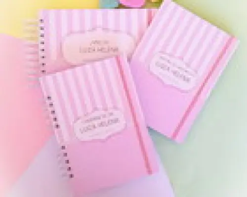 Kit Caderneta, Livro do Bebe e Porta Certidão