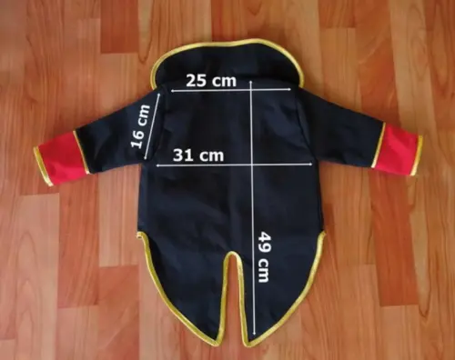 Roupa circo luxo 1 ano