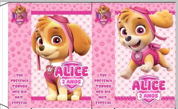 Sacolinha Skye (patrulha Canina)