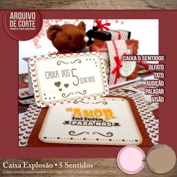 Arquivo de Corte Caixa explosão urso ( LEIA A DESCRIÇÃO