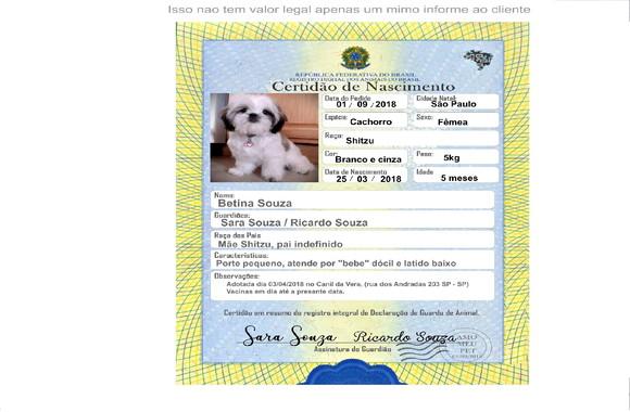 Arquivo de Corte Certidão de Nascimento e Rg Pet ( Leia a D