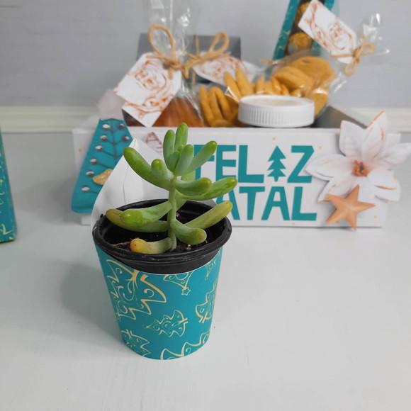 Arquivo de Corte Cesta Natal Verde (compre 1 Leve+11