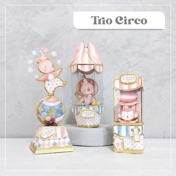 Arquivo de Corte Circo Shaker Rosa ( Compre 1 e Leve + 10