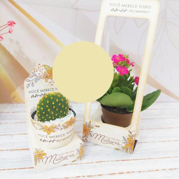 Arquivo de Corte Dia das Mulheres 30 (compre 1 Leve+11