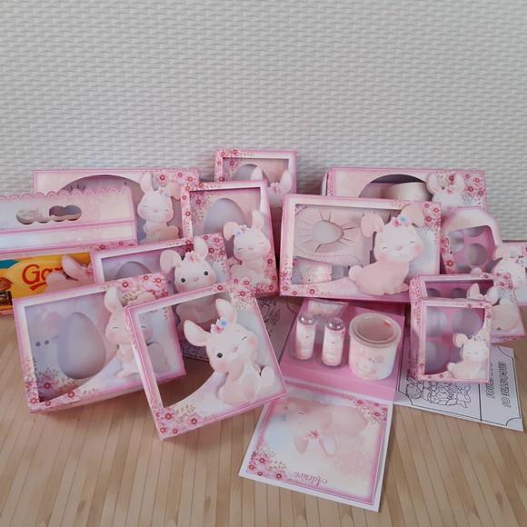 arquivo de corte PÁSCOA Coelhinha Rosa - 05