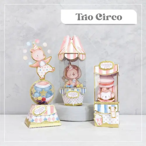 Arquivo de Corte Circo Shaker Rosa ( Compre 1 e Leve + 10