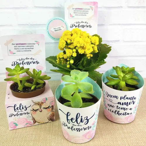 Arquivo de Corte Dia dos Professores Rosa 64 (compre 1 Lv+11