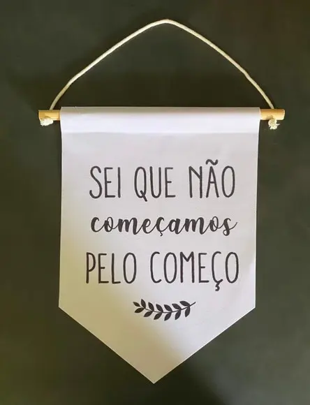 Flamula decorativa sei que não começamos pelo começo