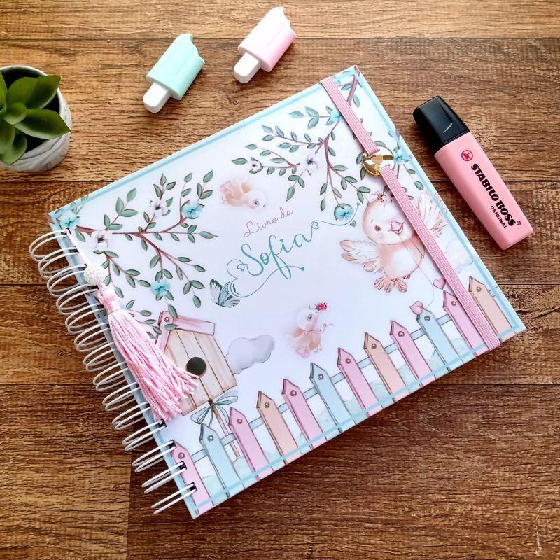 Kit Livro do Bebê, Caderneta de Vacina e Caixa Personalizada